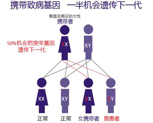 香港验血报告看男女准吗,女性不孕不育11步排查法是什么包含哪些检查项目