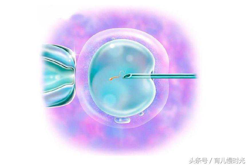 香港验血生男孩一年后不影响结果么,供卵试管婴儿怎么做的全过程公开
