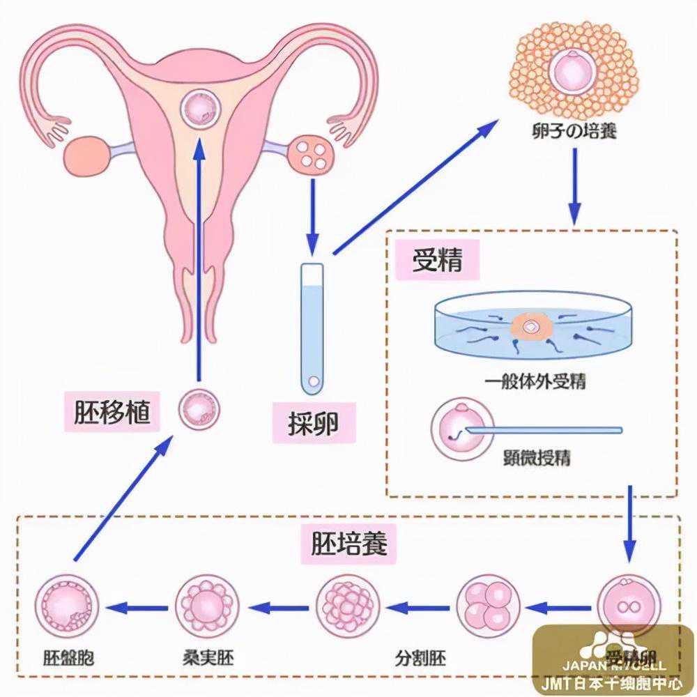 香港验血价格太低,杭州正规辅助生殖助孕机构有哪些？省人民医院能做试管吗
